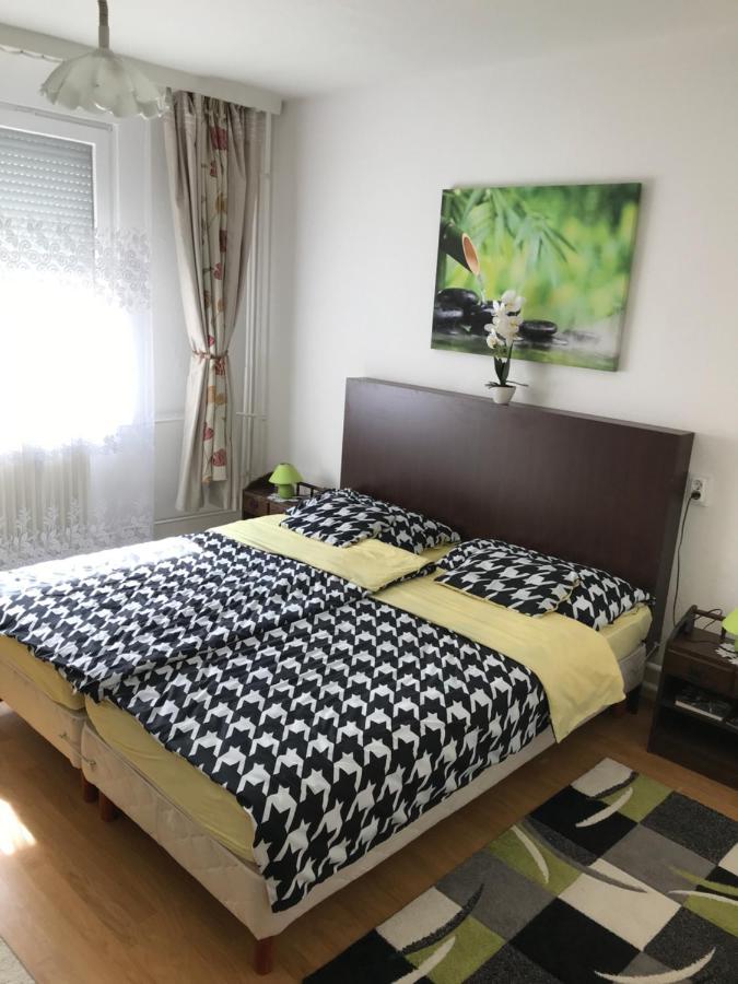 Zen Apartman Szolnok Esterno foto